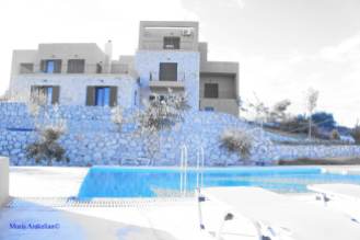 pool & house